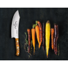 Nóż do mięsa Barbecue 30 cm Spicy Orange | Giesser PremiumCut 1900